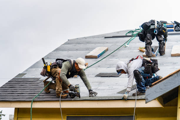Professional Storm Damage Roof Repair technician working in Livermore, KY